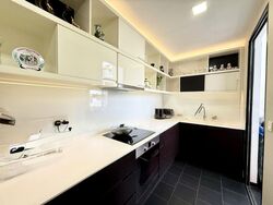Village @ Pasir Panjang (D5), Condominium #474070991